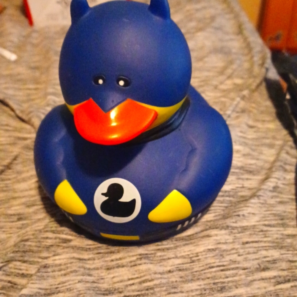 Duck Bank